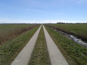 Flachland bei Garding - unter Kennern auch als Gaarn bekannt.