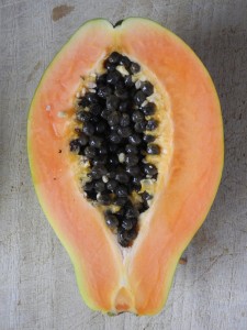 Papaya - hätte wohl auch gut in den Vermeer-Smoothie gepasst.