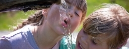trinken
