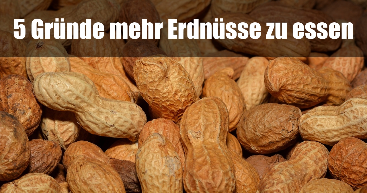 Warum Soll Man Keine Erdnüsse Essen www.fitshop.de